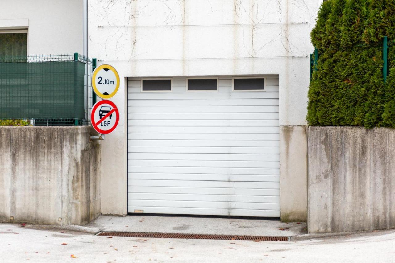 Vigorous Appartement