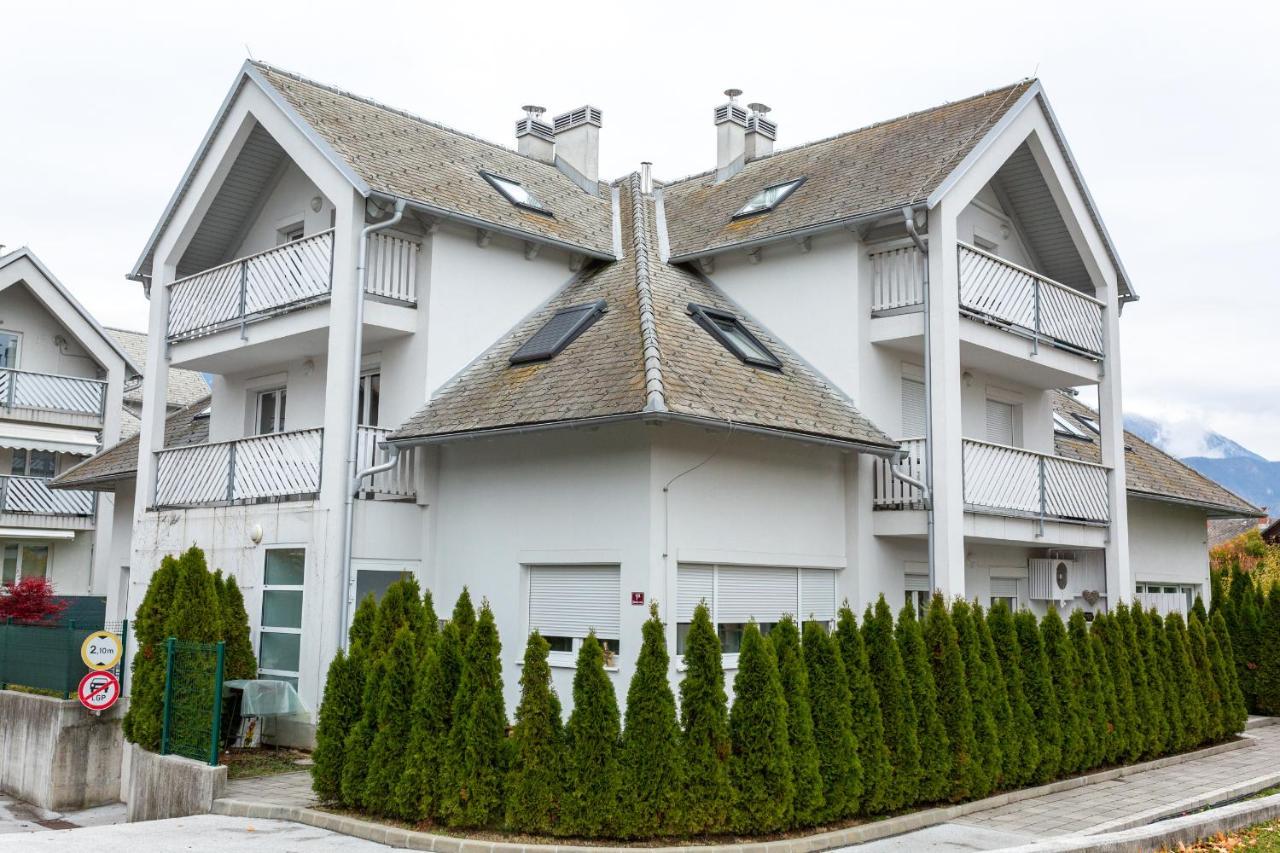 Vigorous Appartement